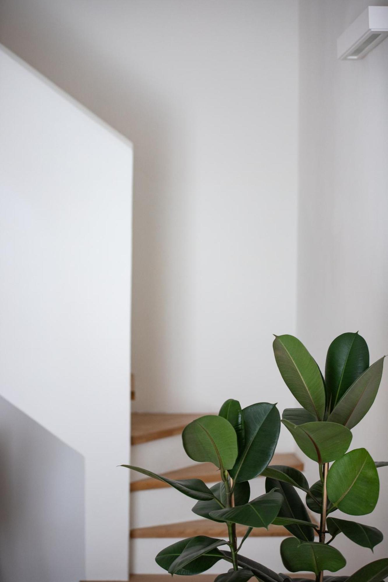Santo Stefano Loft Aparthotel โบโลญญา ภายนอก รูปภาพ
